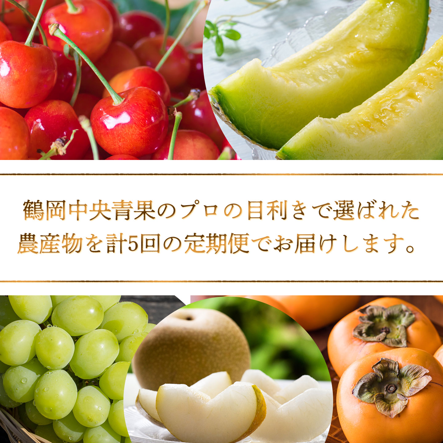 【令和8年産先行予約】 フルーツの定期便【5回お届け】　山形県鶴岡市　鶴岡中央青果　| 果物定期便 果物 くだもの フルーツ サクランボ メロン 梨 シャインマスカット 庄内柿 旬 2026年産 人気