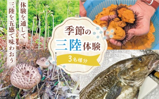 季節の三陸体験 体験チケット (3名様分/1体験) 三陸アクティブ 三陸 大船渡 体験