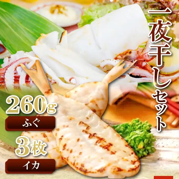 日本海が育んだ絶品　ふぐ・白いか一夜干詰合せ【ふぐ いか フグ 干物 260g 5尾～11尾 1箱 白いか 干物 3枚 河豚 イカ 烏賊 ケンサキイカ 一夜干し 贈答 ギフト 父の日 母の日 国産】