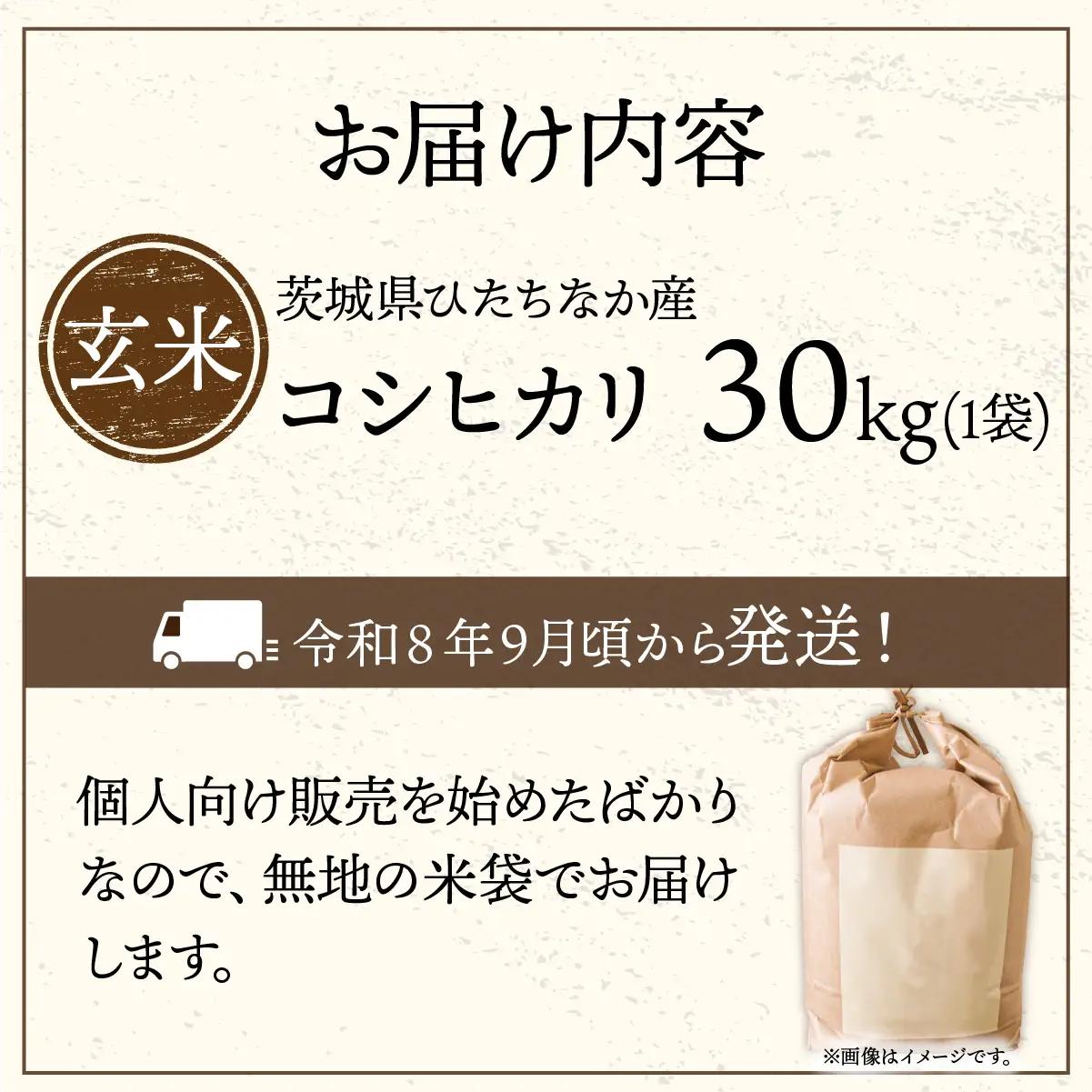 令和8年度 新米 コシヒカリ 玄米 30kg  | 新米 お米 こしひかり コシヒカリ