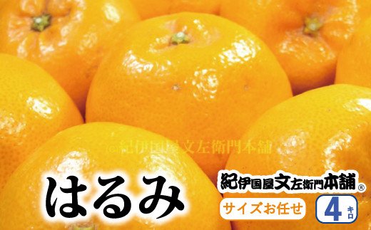 
はるみ 約4kg/サイズおまかせ　※2025年1月下旬～2025年3月中旬頃に順次発送予定(お届け日指定不可) 紀伊国屋文左衛門本舗 / はるみ みかん 蜜柑 柑橘 果物 フルーツ 【kmtb460B】
