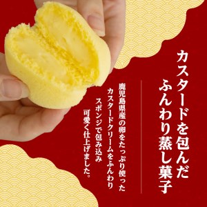 かすたどん 16個入 K167-001 限定 期間限定 菓子 スイーツ 銘菓 蒸し菓子 卵 たまご カスタード カスタードクリーム ふんわり スポンジ ソフト 風味 九州 特産品 鹿児島特産品 お土産