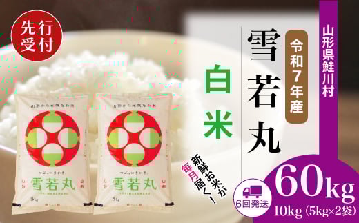 
            ＜令和7年産米先行受付＞ 鮭川村 雪若丸 【白米】 定期便 60kg （10kg×1ヶ月間隔で6回お届け）＜配送時期選べます＞
          