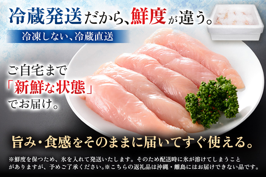 鶏肉 広島熟成どり ささみ 6kg (2kg×3) 配達不可：沖縄・離島 お肉 ササミ とり肉
