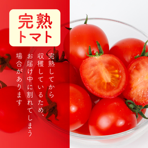 ラブリーさくら 約2.2kg 大瀧農園 トマト 完熟トマト 野菜 産地 直送 人気 国産 愛媛県 愛南町 発送期間：2026年3月1日～7月頃まで（※なくなり次第終了）
