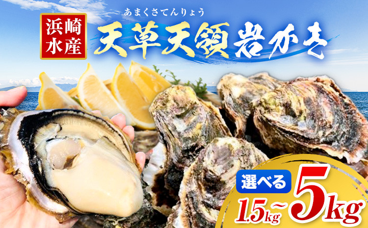 
            浜崎水産の天草天領岩かき 選べる容量 約 1.5kg 約 2.5kg 約 5kg  《4月上旬-7月末頃出荷》 【配送不可地域あり】 海鮮 海産物 海の幸 シーフード 魚貝類 かき 牡蠣 岩かき 岩牡蠣 夏牡蠣 生食用 生もの 濃厚 熊本県 苓北町
          
