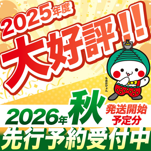 【先行予約】【2kg】真岡市産 ハウス レモン