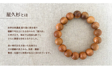 屋久杉12mm玉ブレスレット【18cm (M)】