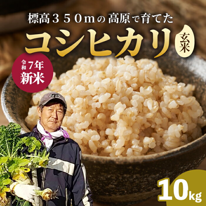 【ふるさと納税】【令和7年新米】コシヒカリ 玄米 10kg 新米 コシヒカリ こしひかり ごはん お米 米 181003