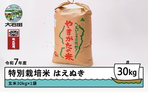 新米 米 令和8年3月下旬発送 はえぬき30kg 玄米 令和7年産 ja-hagxa30-3s