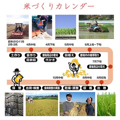 2024年3月発送開始『定期便』宮城県登米市産ひとめぼれ(玄米)30kg(隔月)全6回【5146708】
