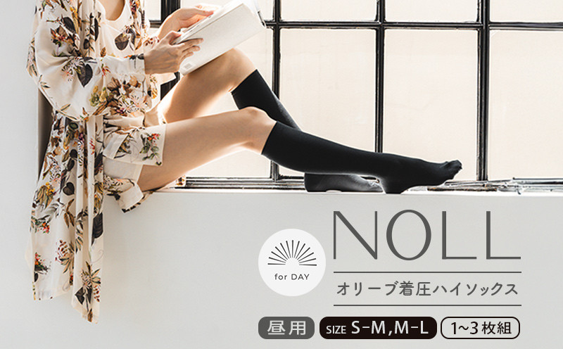 
            着圧ソックス S-M M-L 1～3足 着圧 ソックス NOLL オリーブ着圧ハイソックス 昼用 靴下 くつした くつ下 むくみ むくみケア ヘルスケア ダイエット オリーブ オリーブオイル 香川県 丸亀市
          