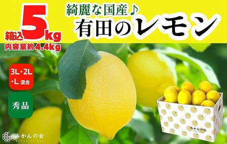 レモン 中玉 国産 箱込5kg(内容量約4.4kg) 秀品 L 2L 3L サイズミックス 和歌山県有田産 【みかんの会】