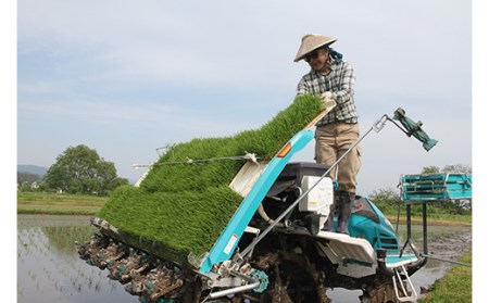 よっしーの超こだわり米(農薬不使用) コシヒカリ（精米）5kg 米 お米 おこめ 山形県 新庄市 F3S-0997