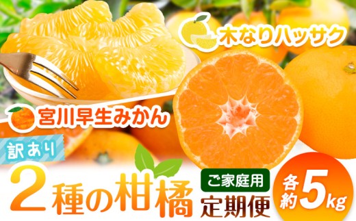 【発送月固定定期便】農家直送！ご家庭用 2種の柑橘定期便 【訳あり】全2回 約 5kg 合計10kg 笑いの里のTommyファーム《12月上旬-3月末頃出荷》和歌山県 日高川町 みかん 定期便 早生 柑橘 フルーツ 果物 ミカン はっさく ハッサク 八朔 産地直送