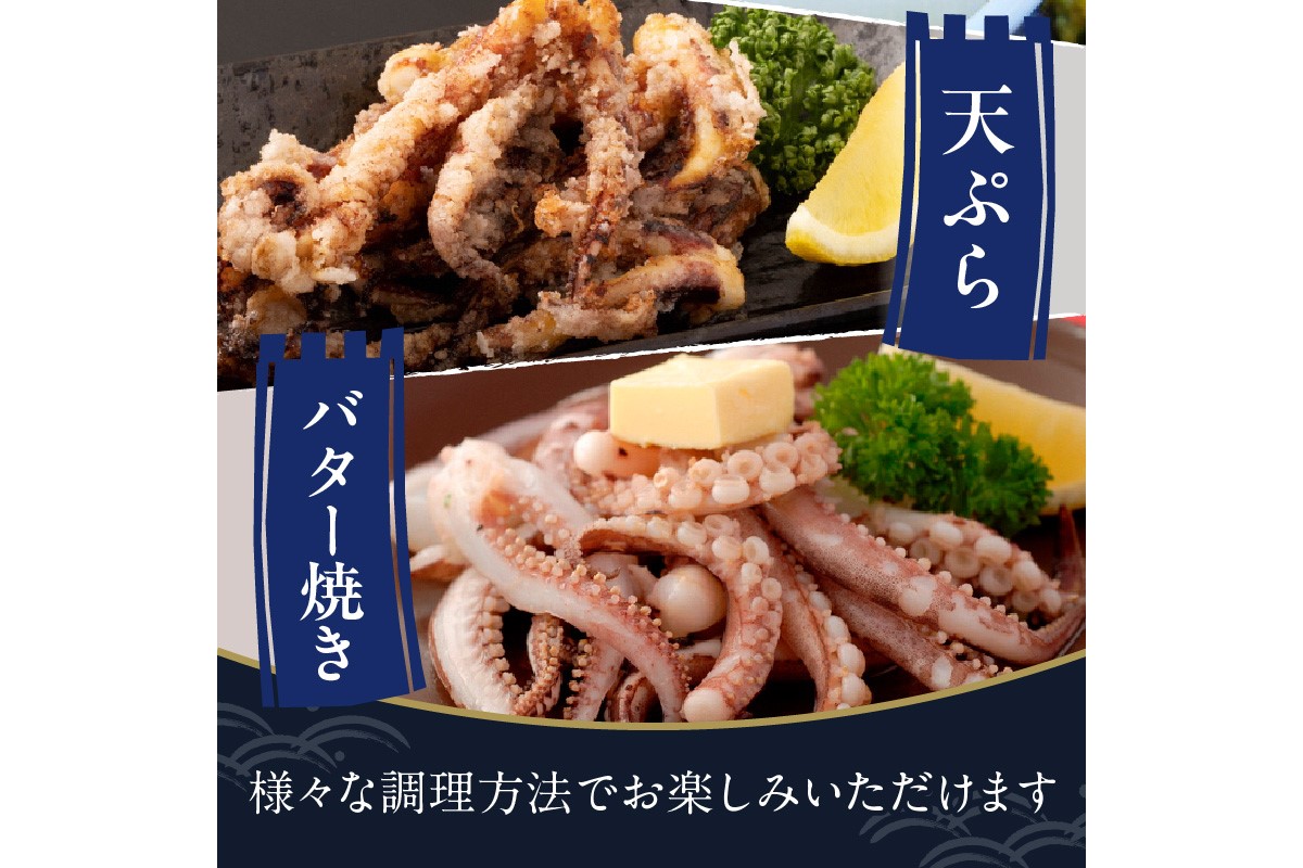 日本海産『海の京都』の逸品！！　活白イカ姿造り（クリスタル白いか）中サイズ 1杯（200g前後）（2027年6月上旬～発送） ふるさと納税 海鮮 鮮度抜群 新鮮 海鮮 いか イカ 簡単調理 生産者応援 送料無料 生食 魚介類 活イカ　YK00689