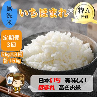 ふるさと納税 あわら市 【毎月定期便】いちほまれ 無洗米 5kg全3回