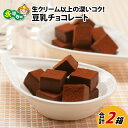 【ふるさと納税】生クリーム以上の深いコク！豆乳チョコレート 9粒×2箱 / 永平寺町 ソイ ギフト プレゼント 贈答 バレンタイン ホワイトデー