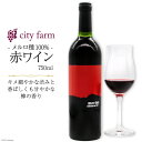 【ふるさと納税】ワイン 赤 メルロ種 750ml×1本 穂坂産 ぶどう 100%使用 お酒 [city farm 山梨県 韮崎市 20742214]