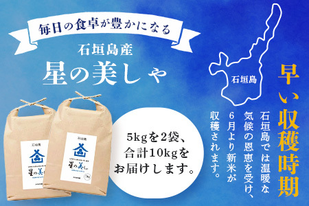 石垣島産 星の美(かい)しゃ 10kg みやぎ米屋【 日本一早い新米の産地 お米 産地直送 旬 ほしじるし 沖縄県 石垣市 送料無料 】MK-4