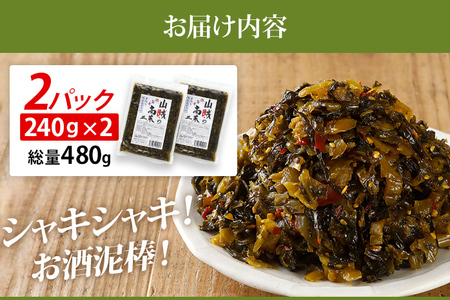 辛子高菜 240g×2パック（480g） 山賊の高菜 からし高菜 メール便 ポッキリ お米に合う ご飯のお供 おつまみ 国産 無添加 お取り寄せ 福岡 お土産 九州 グルメ 福岡県