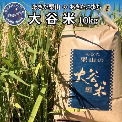ふるさと納税 能代市 令和7年産 玄米 あきた栗山 大谷米 あきたこまち 10kg[No.5335-1503]