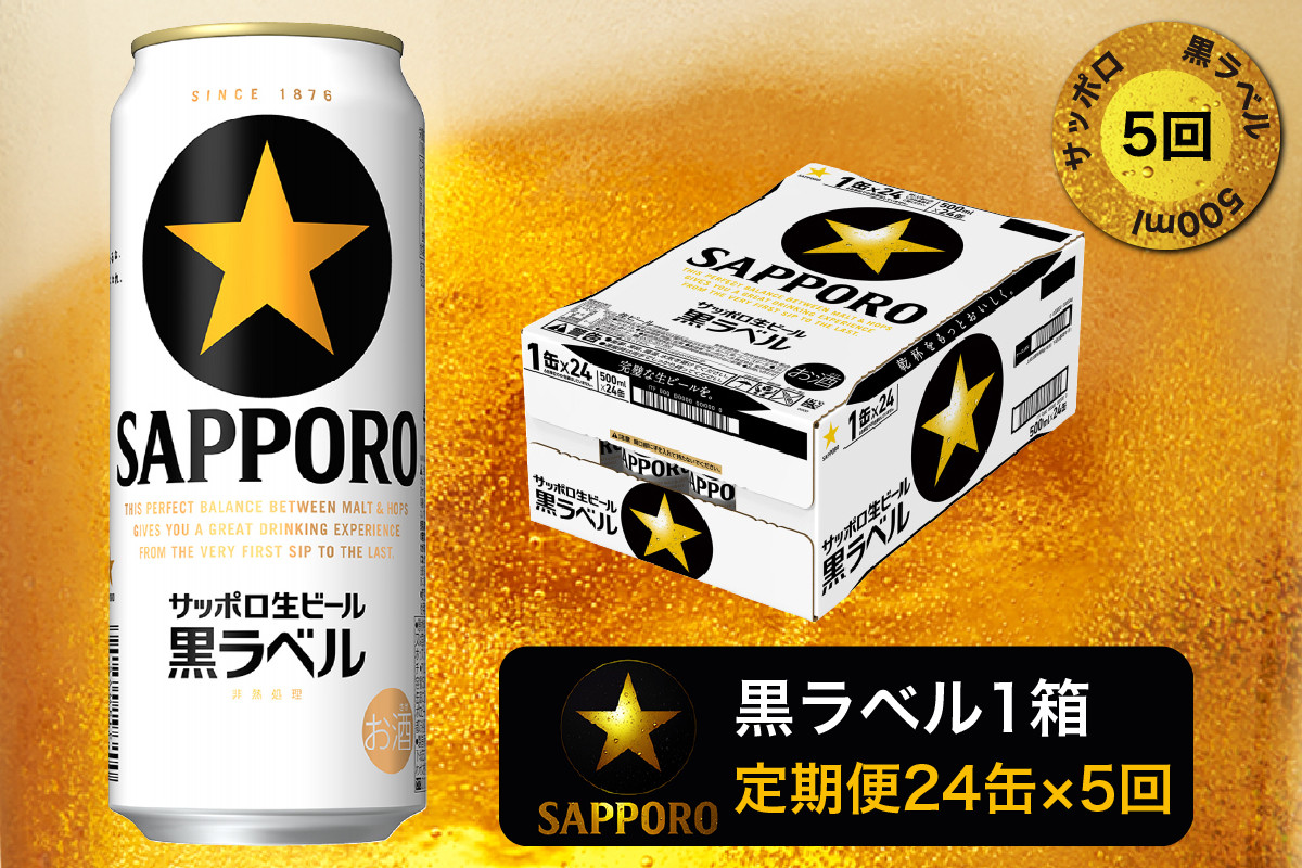 
T0006-2005　【定期便5回】黒ラベルビール 500ml×1箱(24缶)【定期便】
