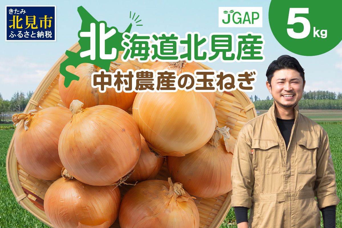 【予約：2025年9月下旬から順次発送】北海道北見産 玉ねぎ 5kg ( 玉ねぎ 野菜 たまねぎ タマネギ 玉葱 甘い ハンバーグ 肉じゃが ふるさと納税 玉ねぎ )【002-0008-2025】