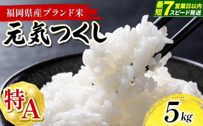 福岡県産米 元気つくし 5kg 精米 令和7年産 ※北海道・沖縄・離島は配送不可【精米 7年産 国産 福岡県産 お米 ブランド米 5kg げんきつくし】CY011