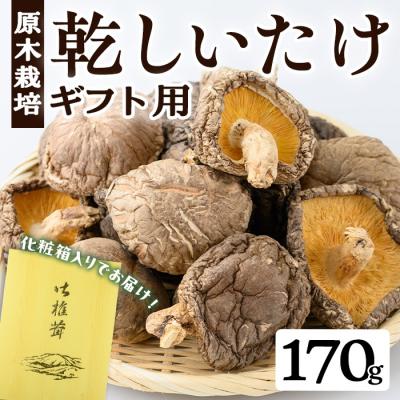 ふるさと納税 曽於市 ギフト用 乾しいたけ (170g)