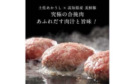 創業50年老舗レストランの幻の和牛あかうしハンバーグ130g×4コ＋特製デミソース×1袋、特製トマトソース×1袋 《6か月定期便》 数量限定
