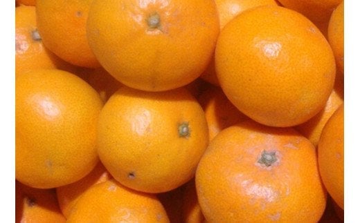 【訳あり】農家直送 有田みかん 約7.5kg ご家庭用 サイズ混合 ※2025年11月中旬から2026年1月中旬までに順次発送予定（お届け日指定不可）※北海道・沖縄・離島への配送不可　訳ありみかん 温