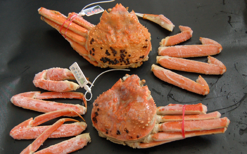 【数量限定】訳あり　釜茹で松葉ガニ　2～3枚入　計1.3Kg