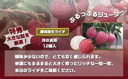 都城産生ライチ『月の真珠』《特秀》12個入_AD-F503-7_(都城市) ジューシー 南国 宮崎 都城市 生ライチ 月の真珠
