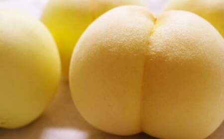 清水白桃 3.6キロ【2026年7月上旬～7月下旬まで順次発送予定】