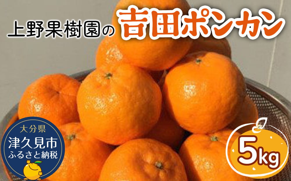 
                  上野果樹園の吉田ポンカン 5kg ぽんかん オレンジ みかん 蜜柑 果物 くだもの フルーツ 柑橘類 甘い ジューシー お取り寄せ 大分県産 九州産 津久見市 国産
                