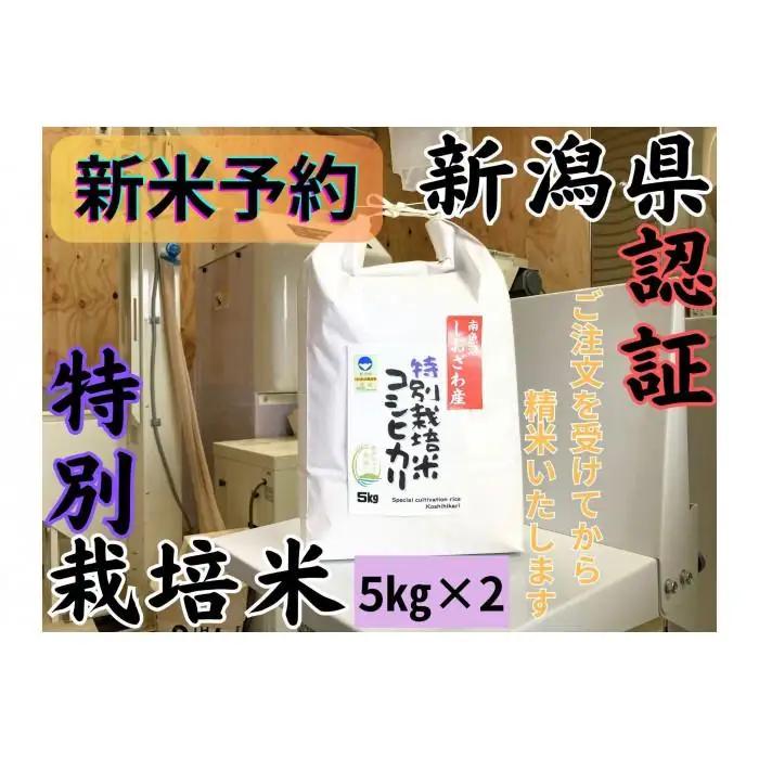 【令和8年・新米予約】安心安全の新潟県南魚沼産特別栽培米コシヒカリ　10kg　新潟県認証【2026年10月上旬より1ヶ月以内に順次発送予定】｜コシヒカリ