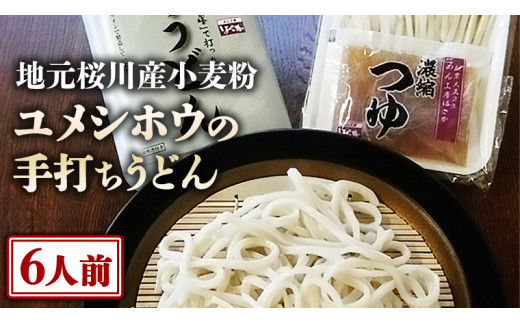 【手打ちうどん・６人前セット】地元 桜川産 小麦粉 「 ユメシホウ 」使用 うどん 手打ち 麺 食品 [AN002sa]