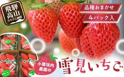 【2026年先行予約】雪見いちご 約200g×4パック | 糖度が高くてほどよい酸味 数量限定 イチゴ フルーツ 果物 いちご 品種おまかせ（紅ほっぺ／紅かおり／山天王）飛騨高山 小屋垣内農園 JA002
