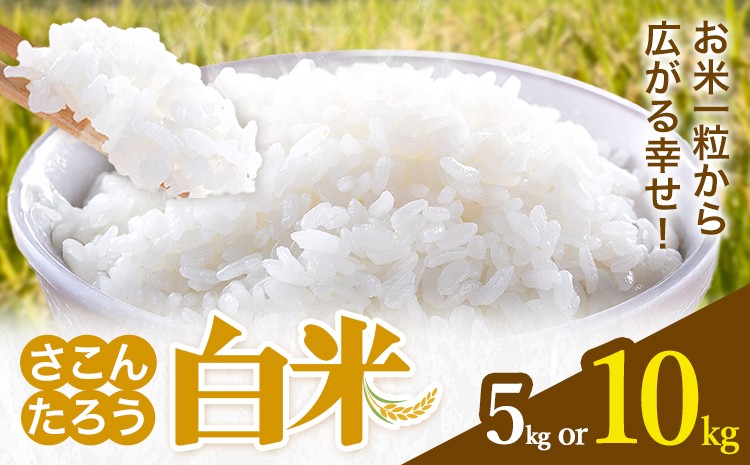 
                  白米 5kg 10kg さこんたろう《90日以内に発送予定(土日祝除く)》熊本県 御船町 コメ おこめ 白米 ごはん 熊本県産
                