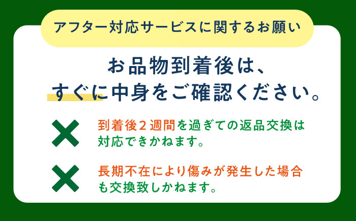 【先行予約】びわ 4パック 長崎県 ビワ 小値賀町 大島 【2026年6月発送】【神川農園】  [DBT006]