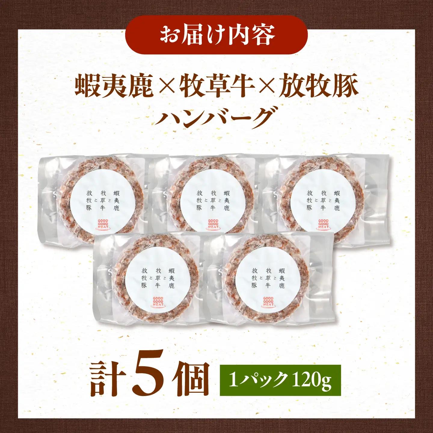 【全2回定期便】【蝦夷鹿×牧草牛×放牧豚】ハンバーグ 5個   鹿肉 牛肉 豚肉 小分け 冷凍 北海道 [AXBP018]