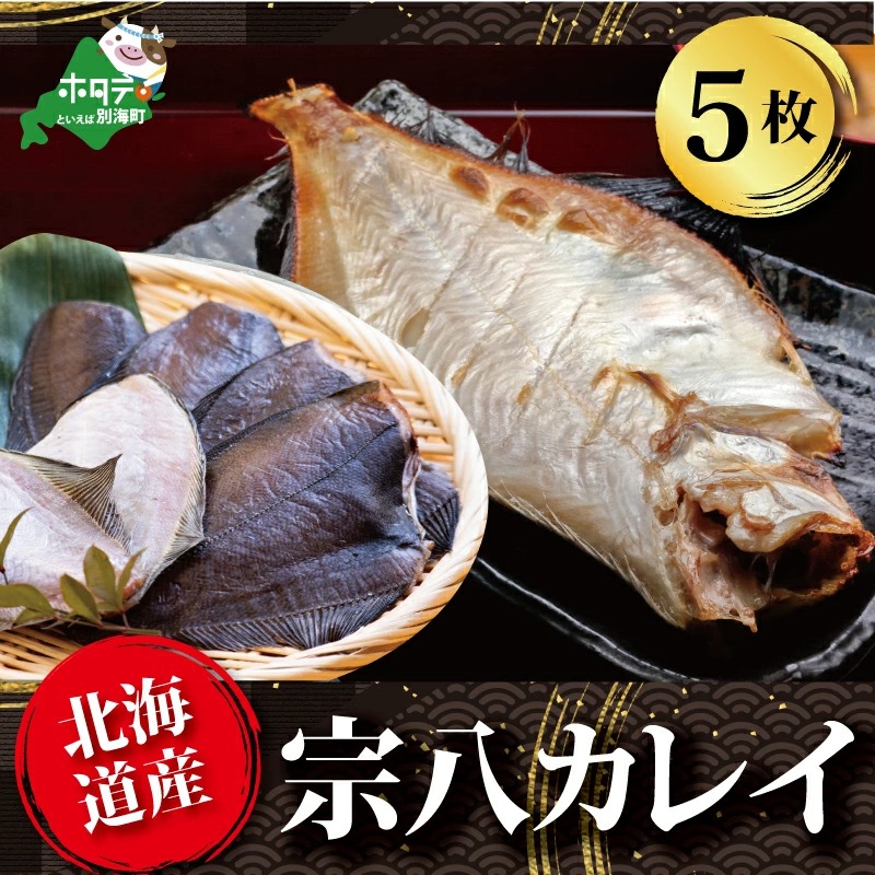 北海道 産 一夜干し 宗八 カレイ 5枚