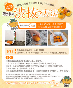【訳あり・ご家庭用】たねなし柿「渋あり」訳あり 約5kg【9月下旬～11月上旬頃順次発送】【CD-wann003】