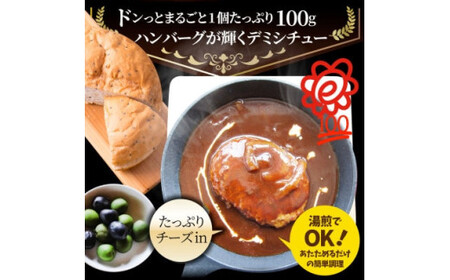 チーズイン　ハンバーグシチュー　濃厚デミグラスソース　5食セット_mk146-169