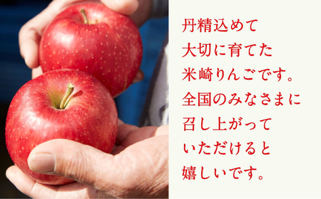 先行予約 りんご 2.5kg 【品種：ぐんま名月】 果物 フルーツ 訳あり 家庭用 米崎りんご