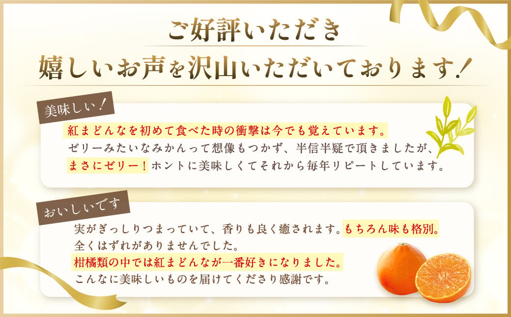 愛媛の旬の柑橘 「紅まどんな」約1.7㎏ 果物 くだもの フルーツ 柑橘 かんきつ【12月頃発送】（11）