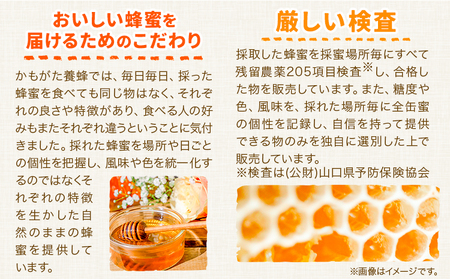 はちみつ 蜂蜜 百花 600g 1本 1.2kg 2本 計 3 本 かもがた養蜂 《30日以内に出荷予定(土日祝除く)》 岡山県 浅口市 送料無料 ハチミツ 百花蜜 百花はちみつ 岡山県産