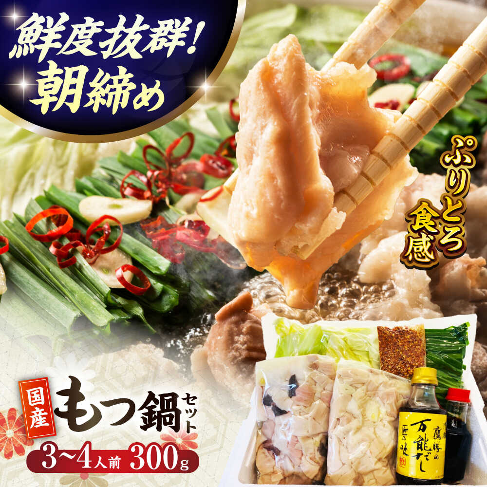 【ふるさと納税】【くぼて鷹勝 卜仙の郷】鷹勝 和風もつ鍋セット（3〜4人前）300g 【株式会社鷹勝カレント】 《豊前市》 熊本産 博多 国産 牛もつ鍋 モツ ホルモン 九州 グルメ[VAK015]