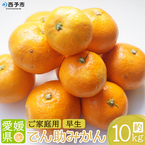 ＜でん助農園の温州みかん（早生 家庭用）約10kg＞ 果物 フルーツ ミカン オレンジ 柑橘類 うんしゅうみかん 自宅用 直送 国産 特産品 食べて応援 産地直送 西宇和産 愛媛県 西予市【常温】『2025年11月中旬～2026年1月上旬迄に順次出荷予定』MDN0005